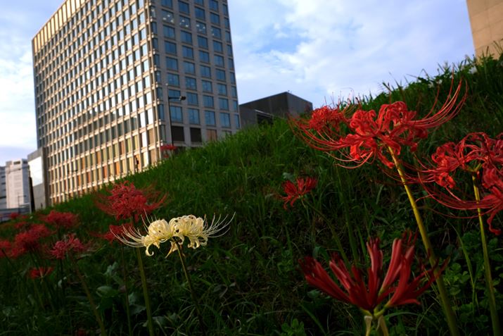 ʐ^5  F8A1/180AISO200AgpYFFUJINON LENS XF18-55mmF2.8-4 R LM OIS