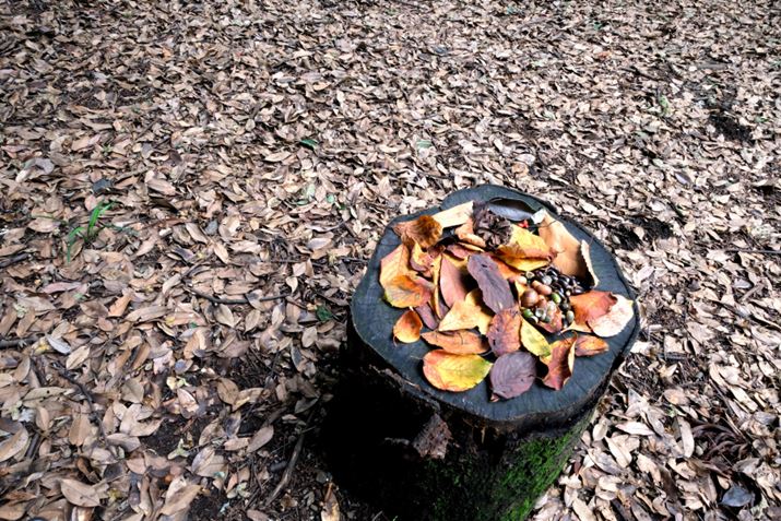 ʐ^7@F22A1/5AISO800AgpYFFUJINON LENS XF14mmF2.8 R