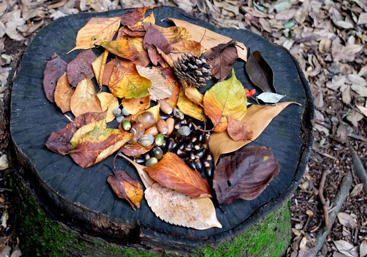 ʐ^9@ʐ^8̈ꕔg債Ă݂܂