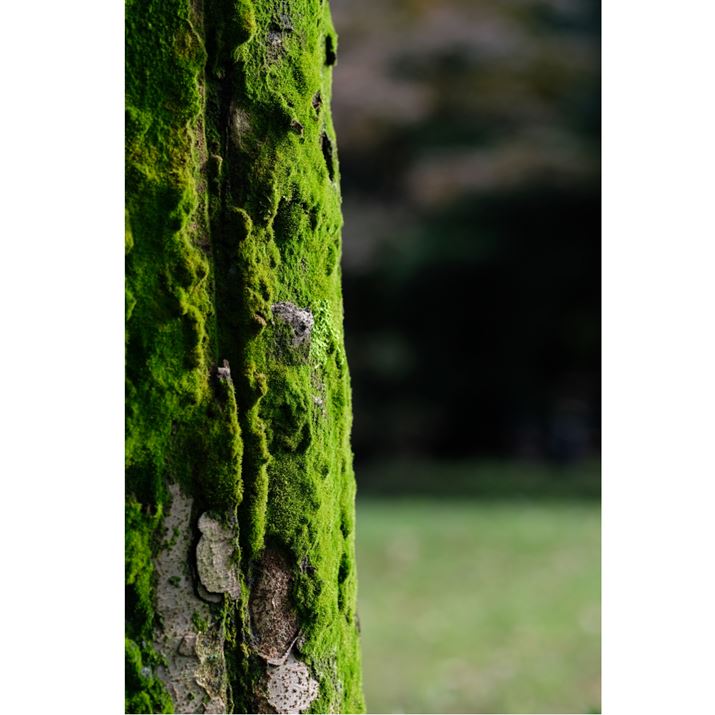 ʐ^10@F2.5A1/500AISO200AgpYFFUJINON LENS XF90mmF2 R LM WR