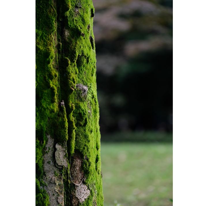 ʐ^11@F2.8A1/320AISO200AgpYFFUJINON LENS XF50-140mmF2.8 R LM OIS WR