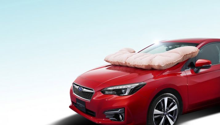 YԂł͏ƂȂsҕیGAobOBSO[hɕW