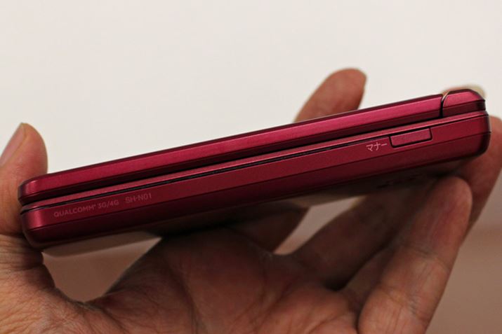 O͕ʂ̃P[^CA{fB͖h/hoɉāAϏՌ\^tlX{fB