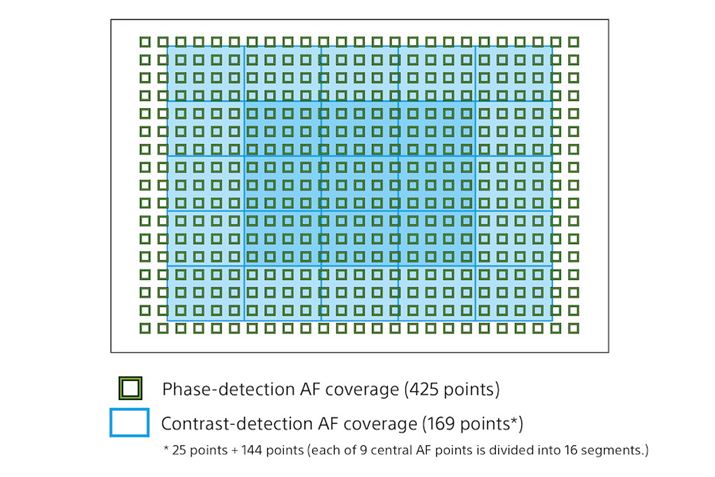 425_̑ʈʑAFut@XgnCubhAFvp