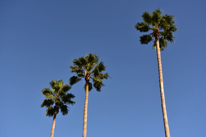 ʐ^2  WB-A1/640AF7.1AISO 200AgpYFAF-P DX NIKKOR 18-55mm f/3.5-5.6G VR