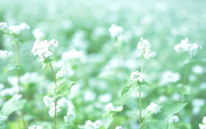 �ʐ^10�@1/400�AF1.8�AISO100�A�g�p�����Y�FAF-S NIKKOR 24mm f/1.8G ED