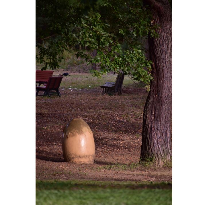 �ʐ^12�@1/400�AF6.0�AISO500�A�|0.33EV�A�g�p�����Y�FAF-P DX NIKKOR 70-300mm f/4.5-6.3G ED VR