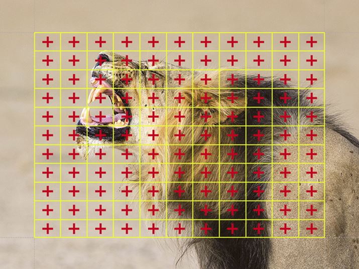 ʈʑAF 121_ׂĂc/̃NXoɑΉ