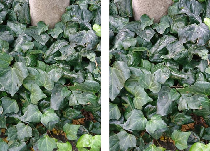 zCgoXȂǑŜ̃g[͋ʂĂ