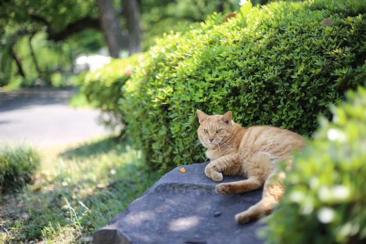 ilFF1.8AVb^[Xs[hF1/500bAxFISO100AzCgoXFI[g