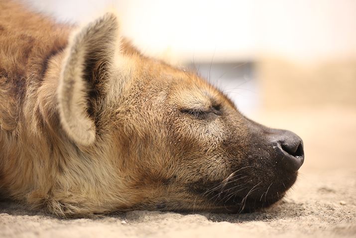 ilFF1.8AVb^[Xs[hF1/40bAxFISO1000AzCgoXFI[g