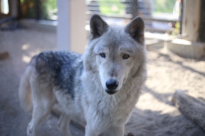 ilFF2AVb^[Xs[hF1/1600bAxFISO1000AzCgoXFI[g