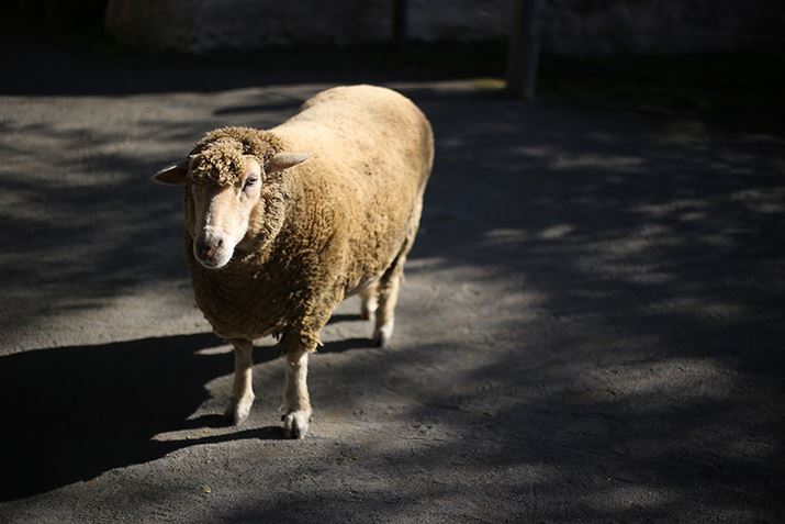 ilFF1.8AVb^[Xs[hF1/3200bAxFISO100AzCgoXFI[g