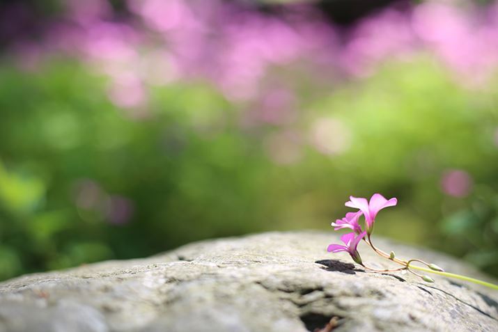 ilFF2.8AVb^[Xs[hF1/250bAxFISO100AzCgoXFI[g