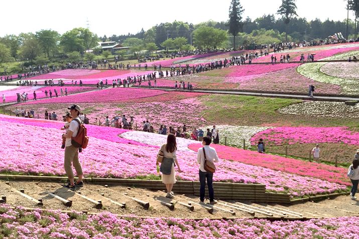 ������́A�����ɂ���ō��̋u�B�g�ʂ̍��������܁h�̐V�����Ƃ��Ă��l�C�ł�