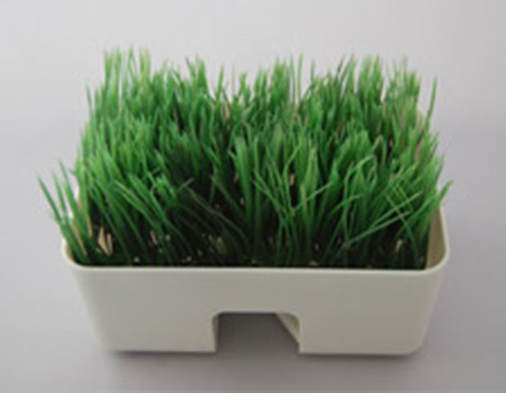 ڂ͐AؔɂƒŐĂ悤Ȋł