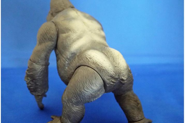 w̃Vo[obNƂ΂FȂǂ{Ȃ̎ł