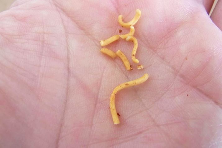 �`�L�����[�����Ɠ������A�ˎ��̂ɂ������t���Ă��܂�