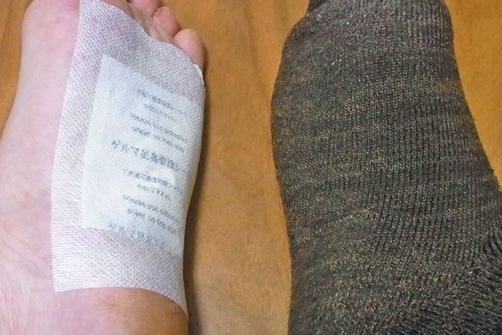 Б͌C͂ԂŁA͑fŐQĂ݂܂