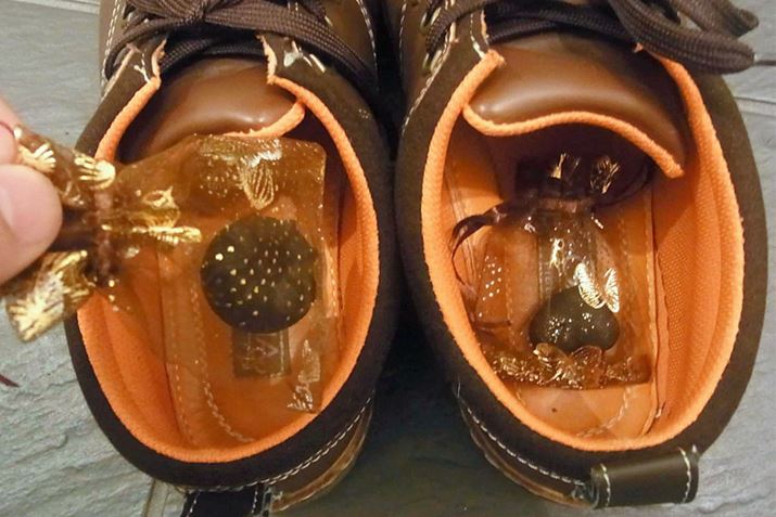 ȑ܂ɓďL܂ƂČC̒ɓꂽc