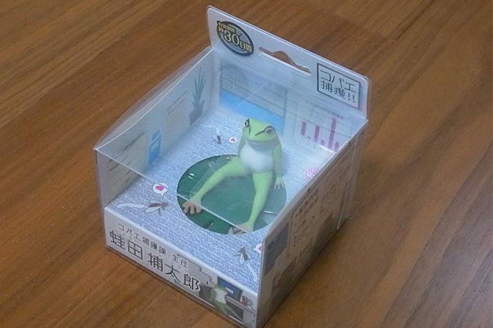 ܂́Ai̎ʐ^Ă܂傤BقA݂Ȃ~ȂĂł傤