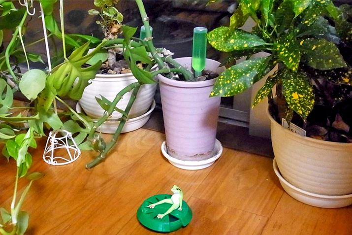 RoG邱ƂϗtA̋߂ŔCs肢܂