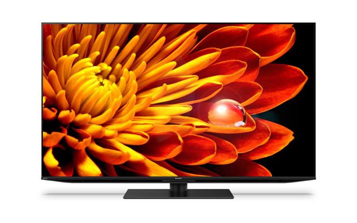 mini LEDはまだ若い技術なので、製品の価格は高め。高画質のテレビを選びたいけれど、有機ELは寿命が心配、あるいは画面に光の入るような環境で使いたい、という場合に検討するとよいでしょう