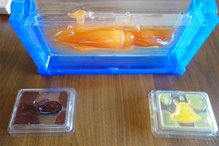 uhEAO[vt[cAIWƂȂĂ܂