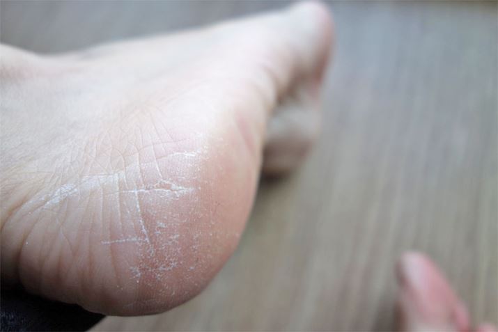 1ځBH ЂƔӂłʐς悤