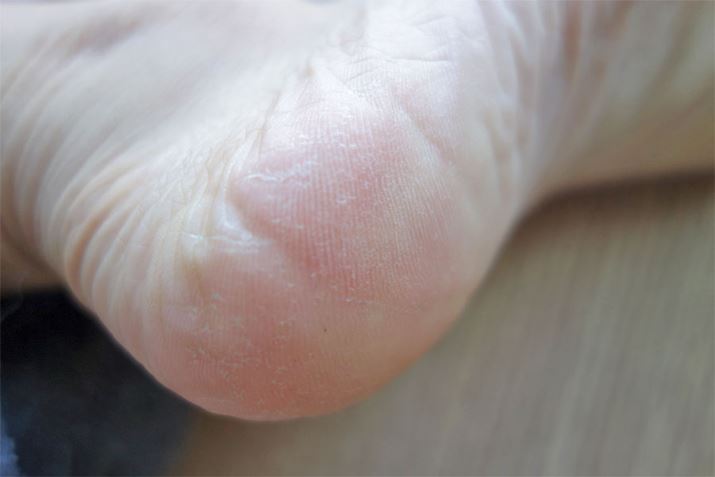 5ځBSȂ悭ȂĂ悤Ȍڂł