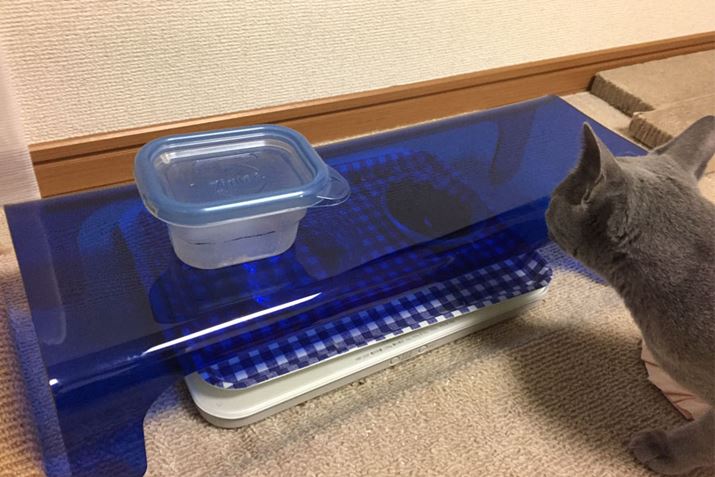 ȃANŁA@ׂȃrWAɔĊ䂻ł