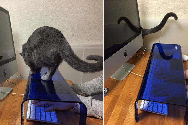 ߂ȁA͗VׂȂ񂾁cȂ񂾂ƍ߈