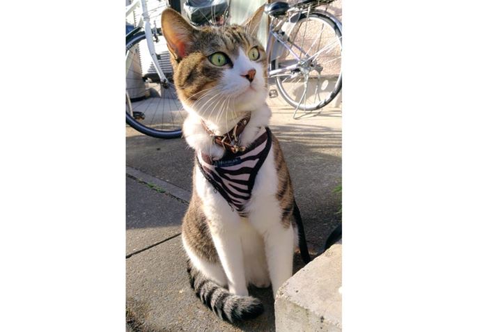 \qij7ΔB̏d6kgŁA傢^{