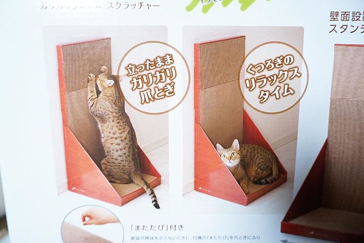 pbP[Wɂ͂Ȏʐ^I@͂Ă̂悤ɂĂ邩sɂȂƂł