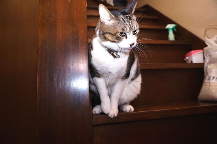 ̂悤ɂނƂ\ŋNĂ\q