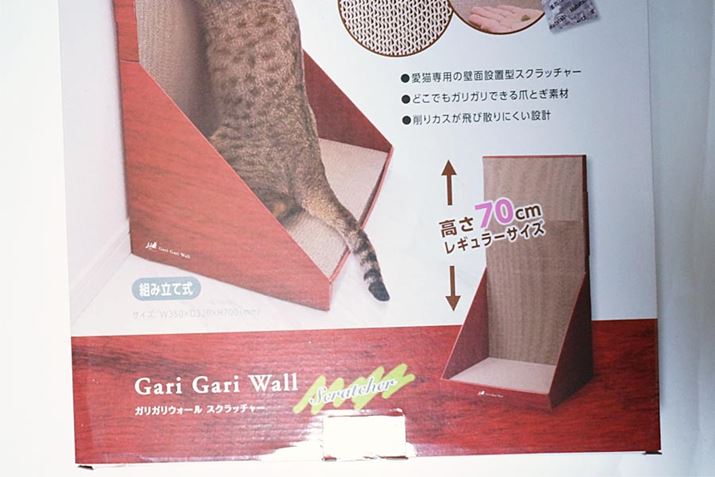 gݗĂƍ70cmǂ̂悤ȃc܂