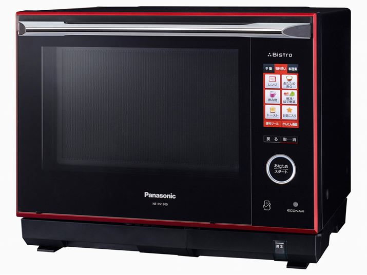 pi\jbNu3 rXg NE-BS1300v