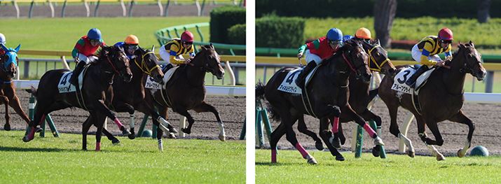 Aʒ̉摜1i171R}ځA179R}ځj