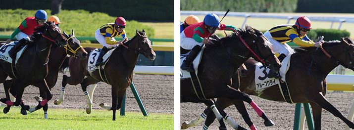 Aʒ̉摜2i182R}ځA198R}ځj