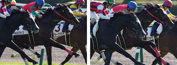 Aʒ̉摜3i203R}ځA207R}ځj