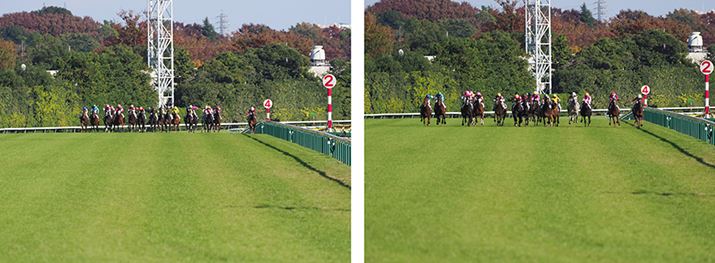 Aʒ̉摜1i2R}ځA50R}ځj