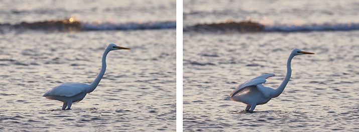 Aʒ̉摜1i7R}ځA8R}ځj