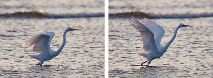 Aʒ̉摜2i9R}ځA10R}ځj