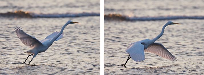 Aʒ̉摜3i11R}ځA12R}ځj