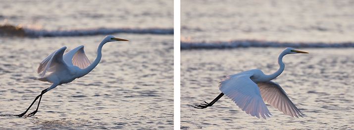 Aʒ̉摜4i13R}ځA14R}ځj