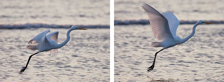 Aʒ̉摜5i15R}ځA16R}ځj