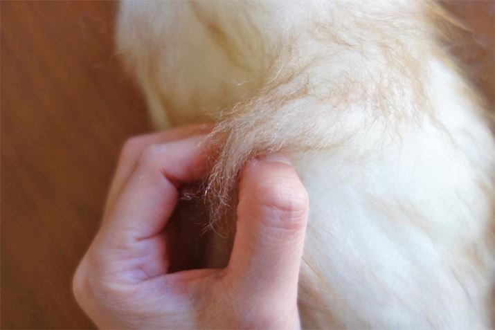 ́c|ɎgȂĂȂ̂ł́c