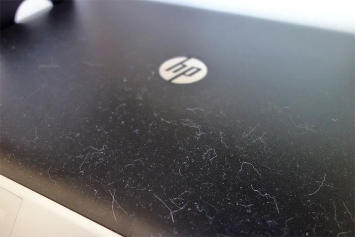 Ƃ킯ŁAʐ^͍ŋߑ|T{Ă䂪Ƃ̃v^[łBp