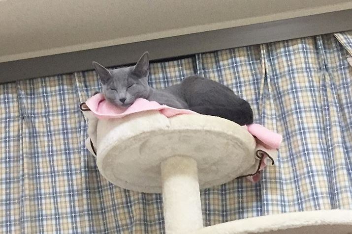 ͂˂ނ̍Œɋ͂Ă炢܂