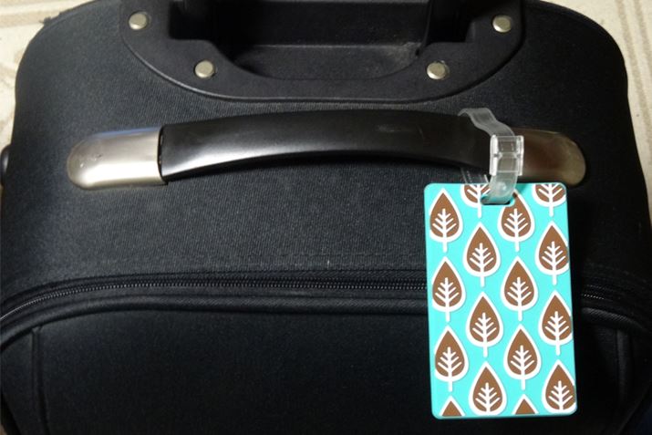 悤Ȃ̂ȍ̃X[cP[XA^OΖڈ